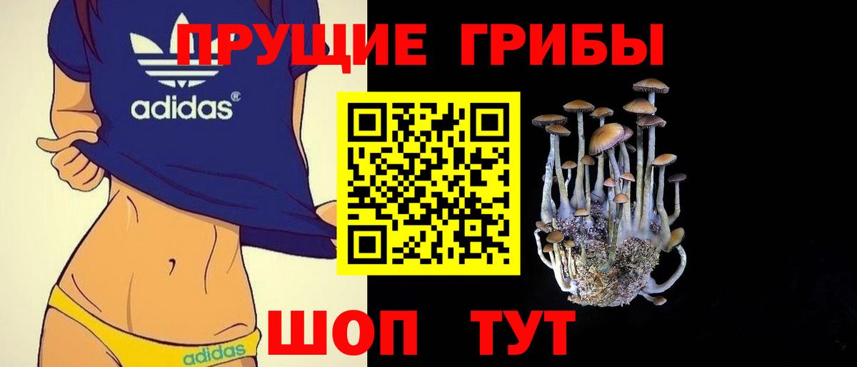 закладки  Псилоцибиновые грибы Psilocybine cubensis  Вход с VPN  Моздок 